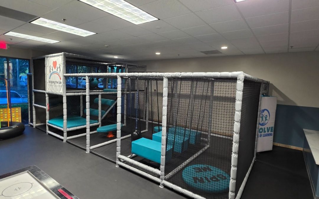 Bridging the Gap Therapy Solutions Sensory Gym